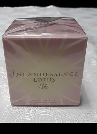 Incaddessence lotus parfum