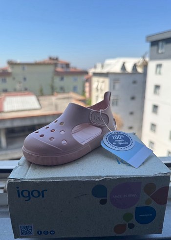 İGOR SURFİ