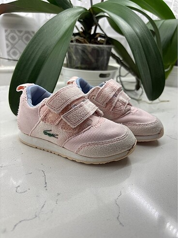 Lacoste çocuk ayakkabısı