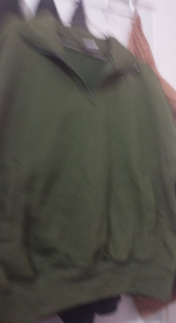 Zara Yeşil Yarım Fermuarlı Erkek Sweatshirt - Görsel 2