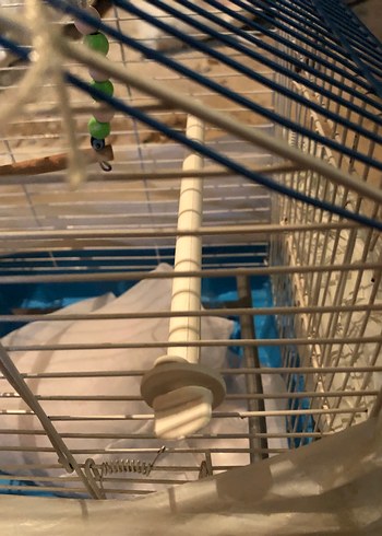 Mavi Kuş Kafesi - Görsel 3