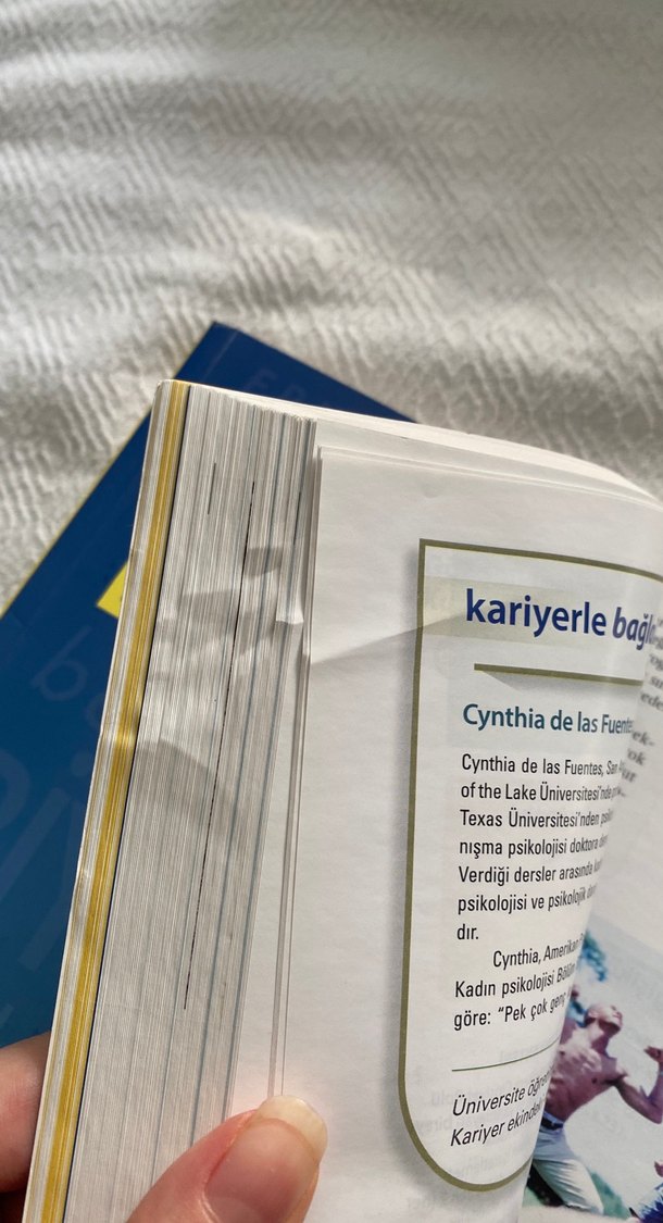 Ergenlik - John W. Santrock, 14. Baskı Türkçe Çeviri - Görsel 2