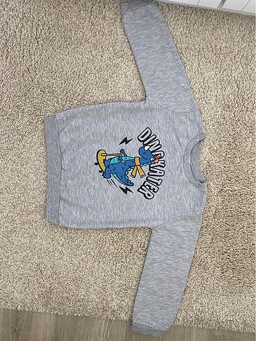 Erkek Çocuk Sweatshirt