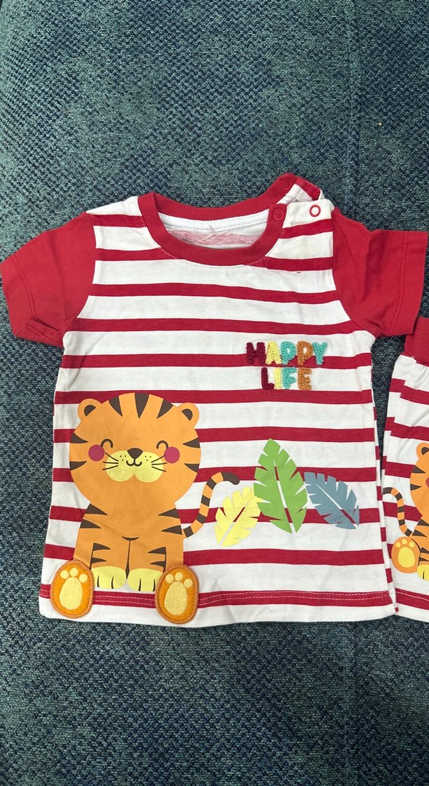 Renkli Pamuklu Erkek Bebek Kısa Kollu Takım - Görsel 2