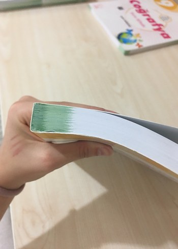 Beden Renk Palme Yayınları 9. Sınıf Türk Dili ve Edebiyatı Soru Bankası