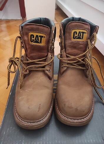 Cat Orjinal Cat bot