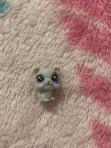 Lps miniş gerçek