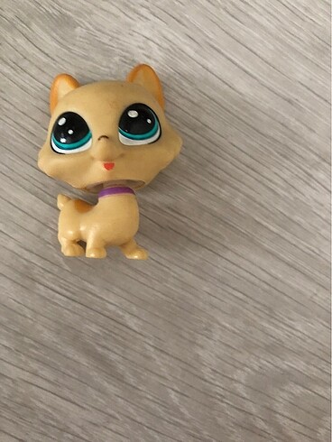 Lps miniş gerçek