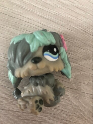 Lps miniş gerçek
