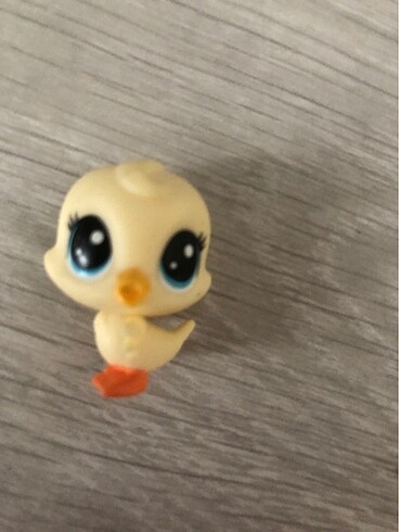 Lps miniş gerçek