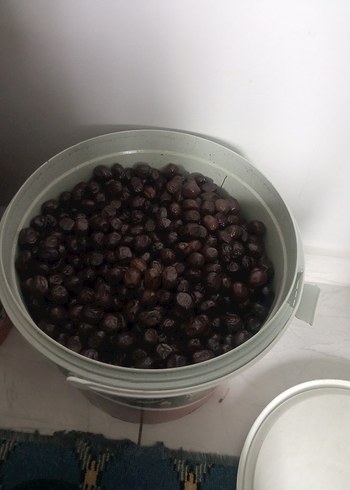 siyah zeytin 10 kilo - Görsel 2