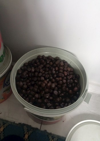 siyah zeytin 10 kilo - Görsel 3