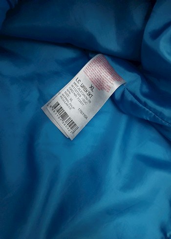 LC Waikiki Mavi erkek Outdoor Kış Montu