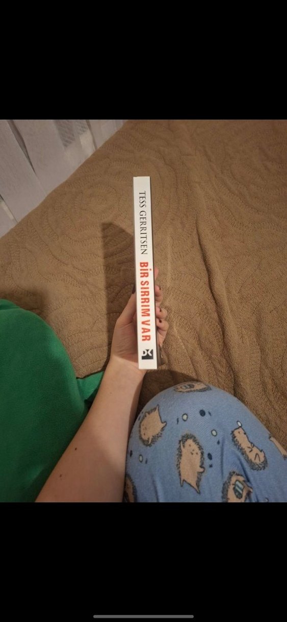 Bir Sırrım Var - Tess Gerritsen - Görsel 3