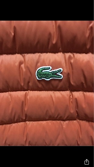 l Beden Orjinal kaz tüyü yeni sezon LACOSTE