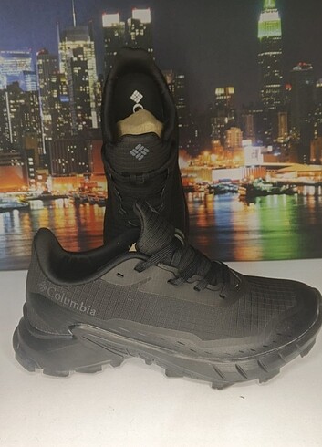 Columbia 44