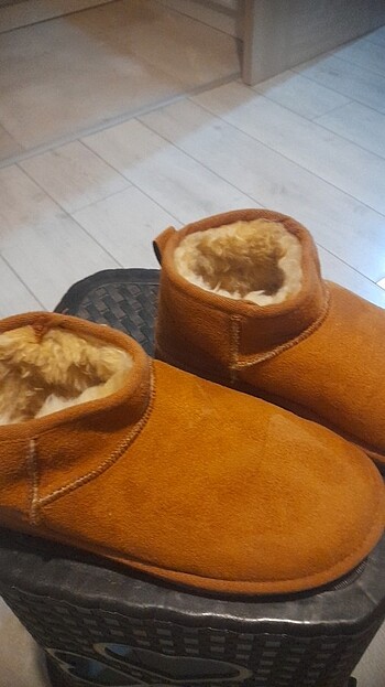 38 Beden Ugg bot