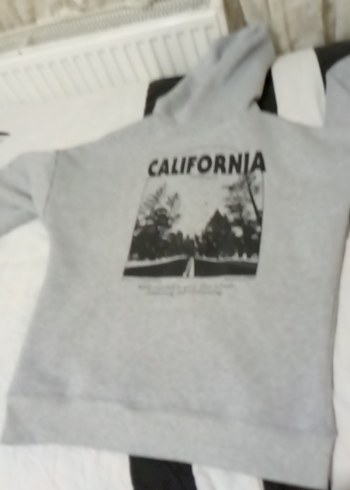 Gri Kapüşonlu Fermuarlı Kadın Sweatshirt - Görsel 2