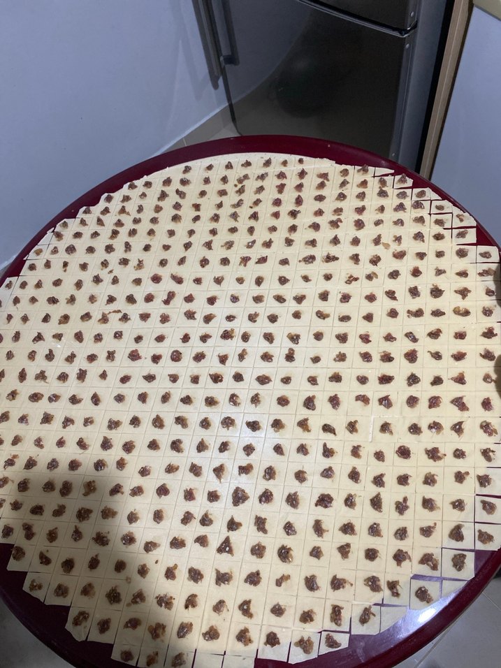 Ev Yapımı Mantı - Görsel 2