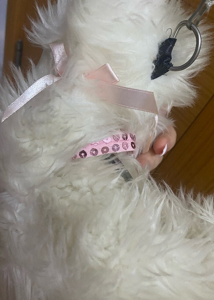 Köpekli çanta - Görsel 4