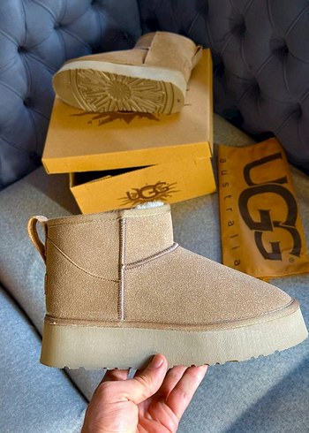 Ugg diğer