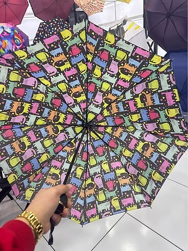 Şemsiye - Görsel 2