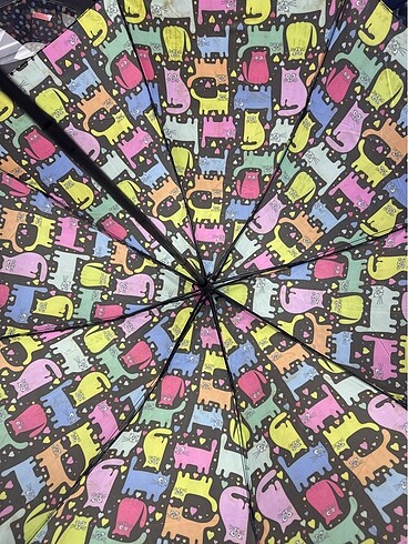 Şemsiye - Görsel 3