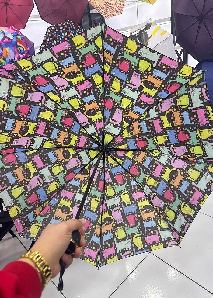 Şemsiye - Görsel 2