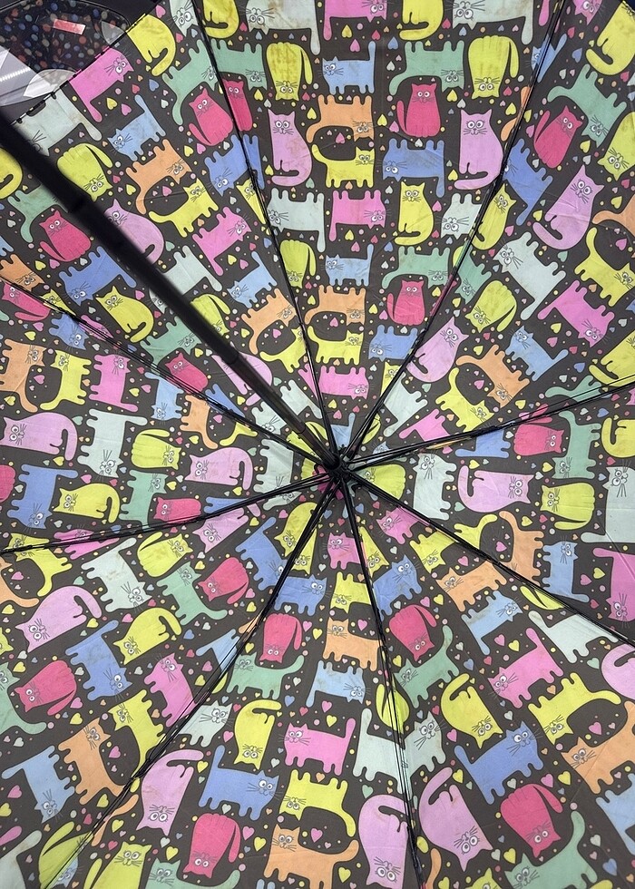 Şemsiye - Görsel 3