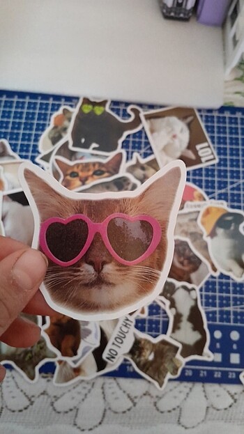 diğer Beden çeşitli Renk Kedili sticker