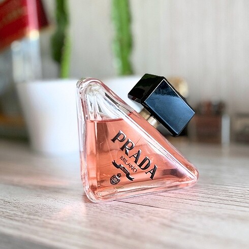 Prada Paradoxe