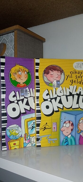 Çılgınlar okulu