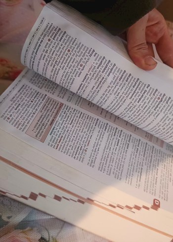 Cambridge Advanced Learner's Dictionary 4. Baskı - Görsel 5