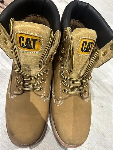 Cat cat bot