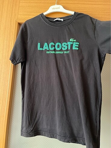 Lacoste Tişört