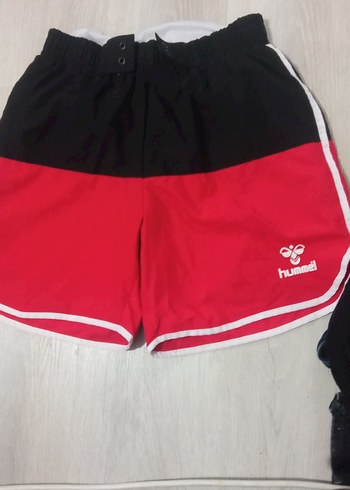 Hummel l