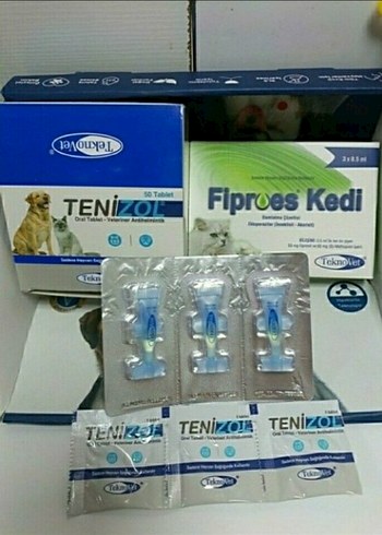Kedi iç dış