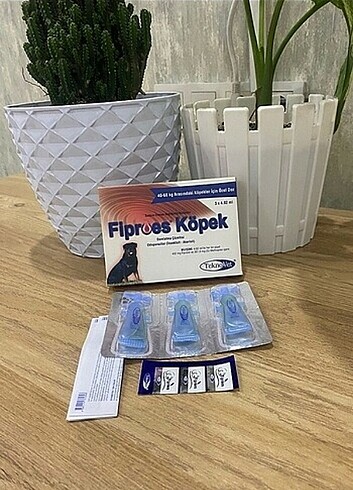 Köpek dış parazit