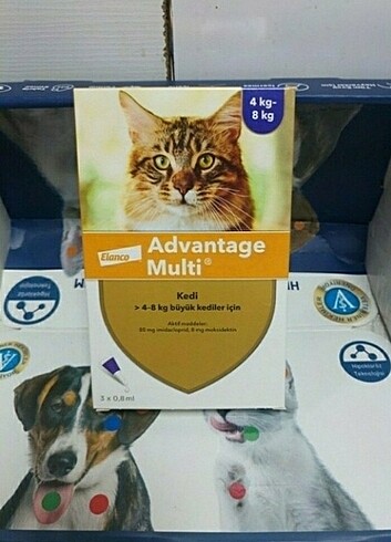 Advantage multi kedi