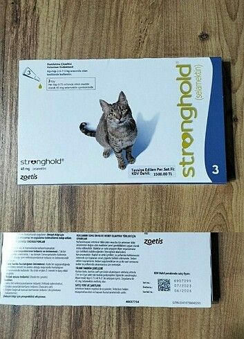 Stronghold kedi