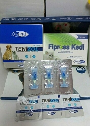 Kedi iç dış parazit