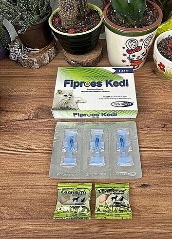 İç dış kedi SÜPER İNDİRİM