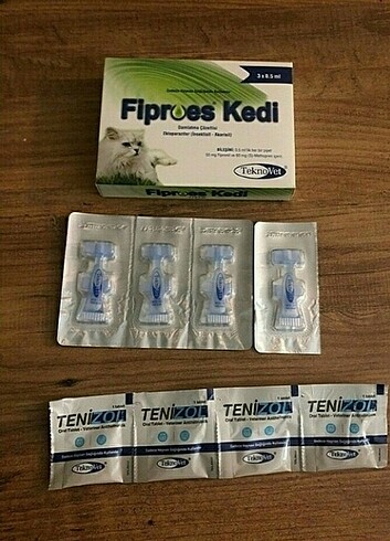 Kedi iç dış