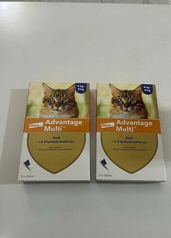 Advantage multi kedi BOMBA İNDİRİM