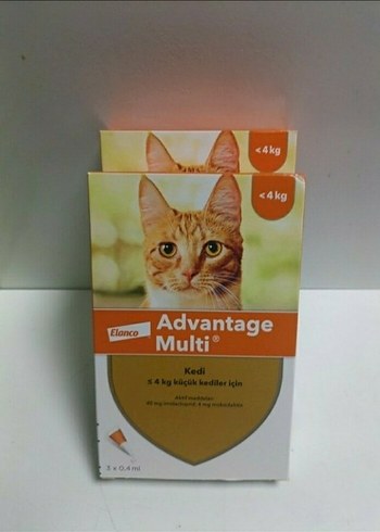 Kedi iç dış SON FİYAT