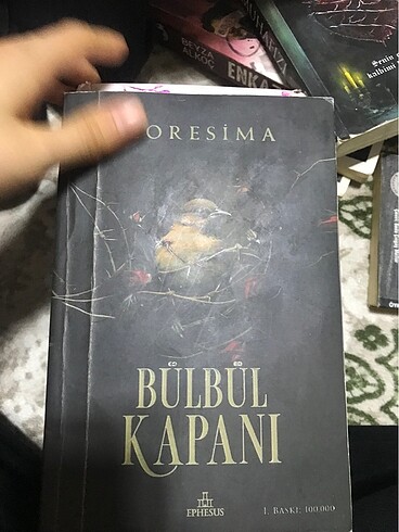 Bülbül kapanı 1