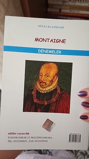 montaigne-denemeler okuma kitabı nilufer yayıncılık - Görsel 2