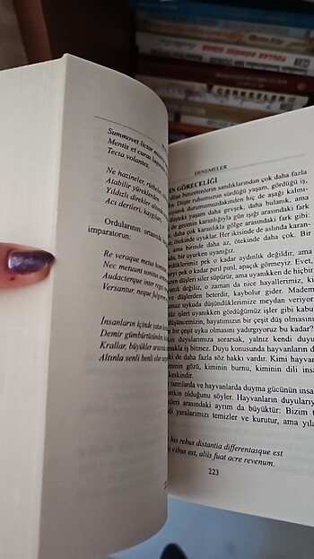 montaigne-denemeler okuma kitabı nilufer yayıncılık - Görsel 3