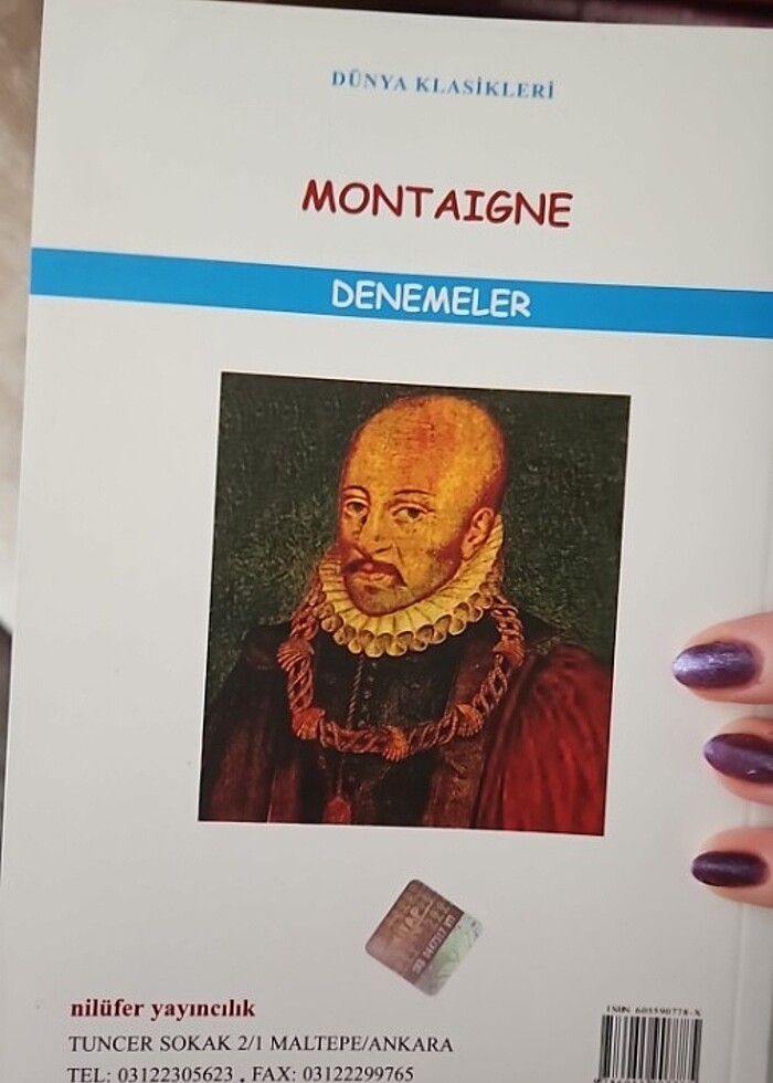 montaigne-denemeler okuma kitabı nilufer yayıncılık - Görsel 2
