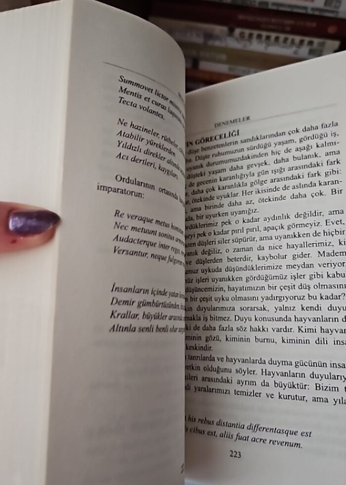 montaigne-denemeler okuma kitabı nilufer yayıncılık - Görsel 3